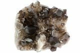 Dark Smoky Quartz Crystal Cluster - Brazil #79931-1